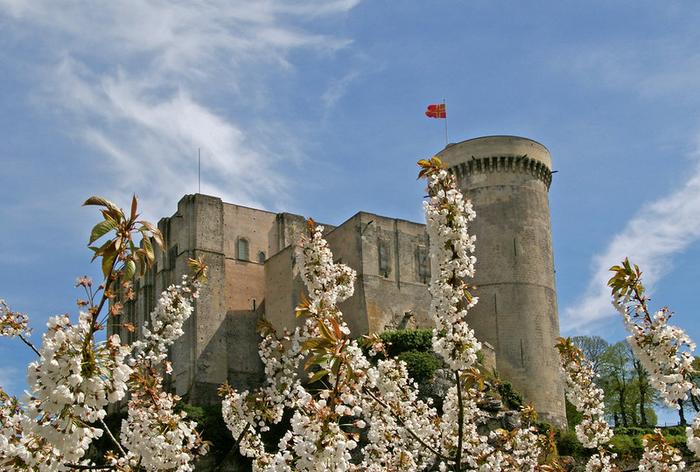 Falaise - Immobilier - CENTURY 21 Cabinet de Loynes - château de Falaise_Calvados