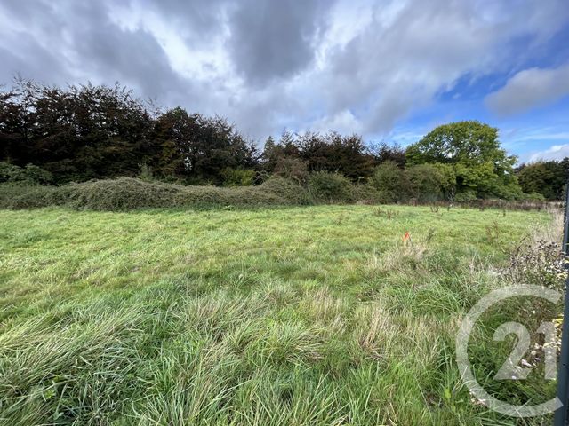 terrain à vendre - 791.0 m2 - USSY - 14 - BASSE-NORMANDIE - Century 21 Cabinet De Loynes