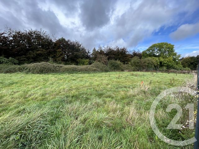 terrain à vendre - 502.0 m2 - USSY - 14 - BASSE-NORMANDIE - Century 21 Cabinet De Loynes
