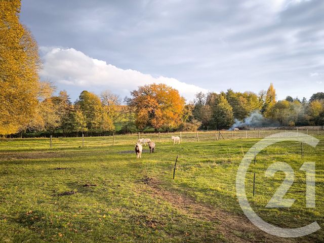 maison à vendre - 6 pièces - 250.0 m2 - FALAISE - 14 - BASSE-NORMANDIE - Century 21 Cabinet De Loynes