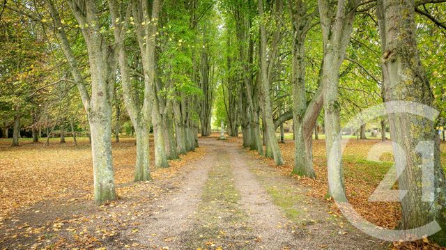 maison à vendre - 6 pièces - 250.0 m2 - FALAISE - 14 - BASSE-NORMANDIE - Century 21 Cabinet De Loynes