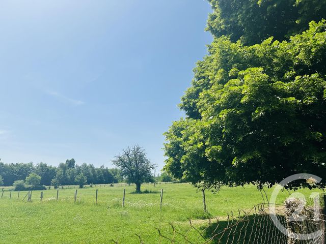 maison à vendre - 6 pièces - 250.0 m2 - FALAISE - 14 - BASSE-NORMANDIE - Century 21 Cabinet De Loynes