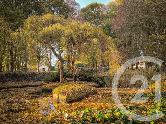 maison à vendre - 6 pièces - 250.0 m2 - FALAISE - 14 - BASSE-NORMANDIE - Century 21 Cabinet De Loynes