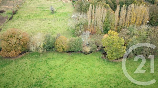 maison à vendre - 6 pièces - 250.0 m2 - FALAISE - 14 - BASSE-NORMANDIE - Century 21 Cabinet De Loynes