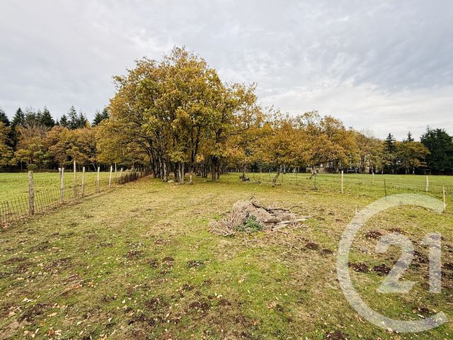 maison à vendre - 6 pièces - 111.55 m2 - FALAISE - 14 - BASSE-NORMANDIE - Century 21 Cabinet De Loynes