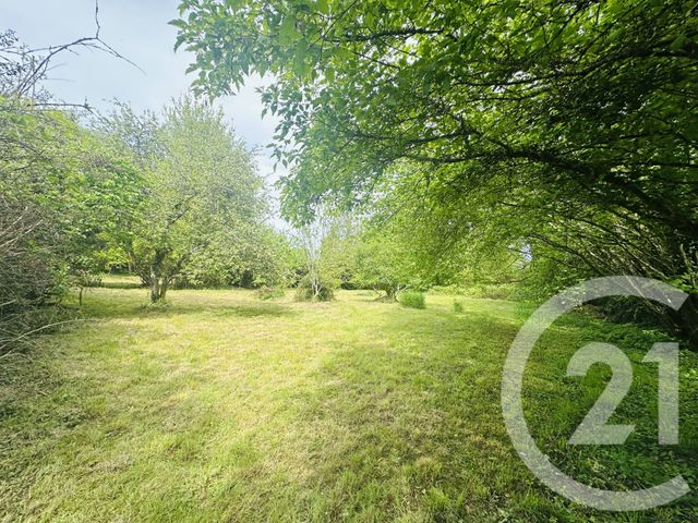 maison à vendre - 4 pièces - 110.0 m2 - FALAISE - 14 - BASSE-NORMANDIE - Century 21 Cabinet De Loynes