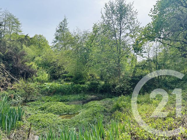 maison à vendre - 4 pièces - 110.0 m2 - FALAISE - 14 - BASSE-NORMANDIE - Century 21 Cabinet De Loynes