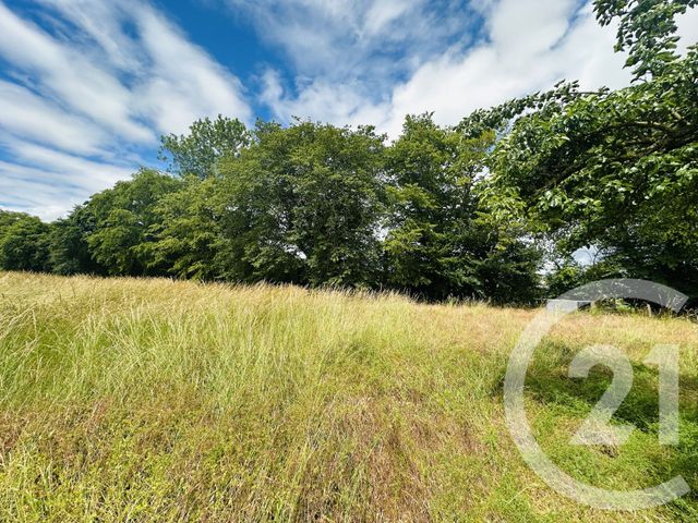 terrain à vendre - 4181.0 m2 - MORTEAUX COULIBOEUF - 14 - BASSE-NORMANDIE - Century 21 Cabinet De Loynes