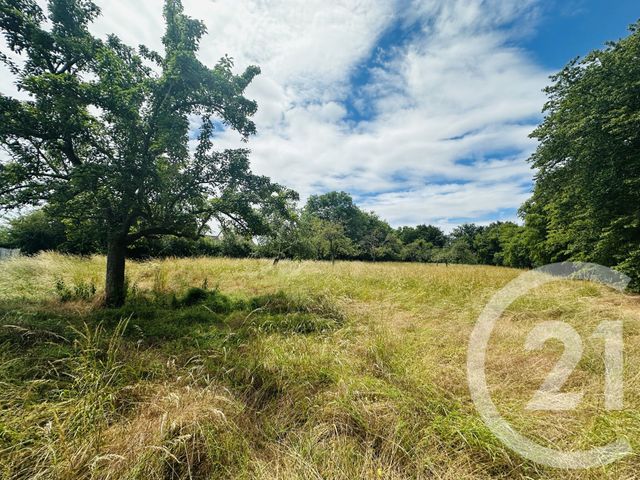 terrain à vendre - 4181.0 m2 - MORTEAUX COULIBOEUF - 14 - BASSE-NORMANDIE - Century 21 Cabinet De Loynes
