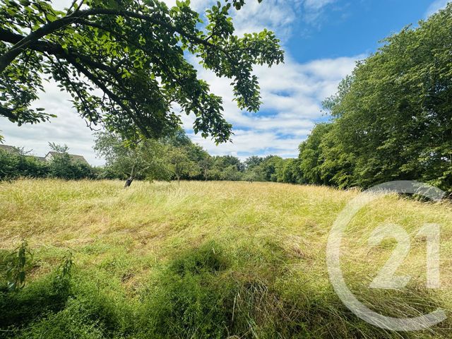 terrain à vendre - 4181.0 m2 - MORTEAUX COULIBOEUF - 14 - BASSE-NORMANDIE - Century 21 Cabinet De Loynes