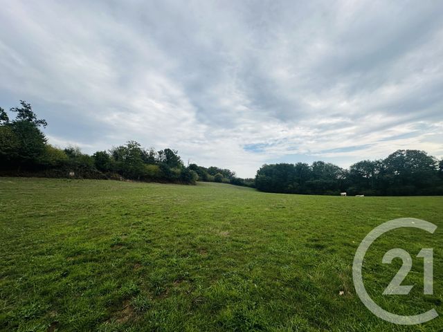 terrain à vendre - 63117.0 m2 - PUTANGES LE LAC - 61 - BASSE-NORMANDIE - Century 21 Cabinet De Loynes