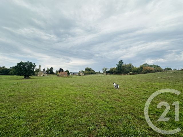 terrain à vendre - 63117.0 m2 - PUTANGES LE LAC - 61 - BASSE-NORMANDIE - Century 21 Cabinet De Loynes